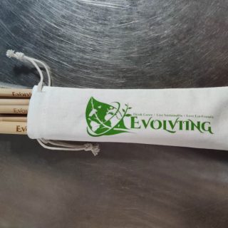 evolviing02