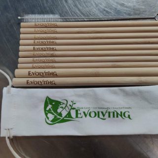 evolviingimage01